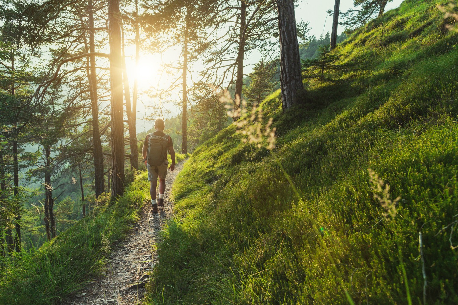 Pédestre en France, tourisme sportif, sport en vacances