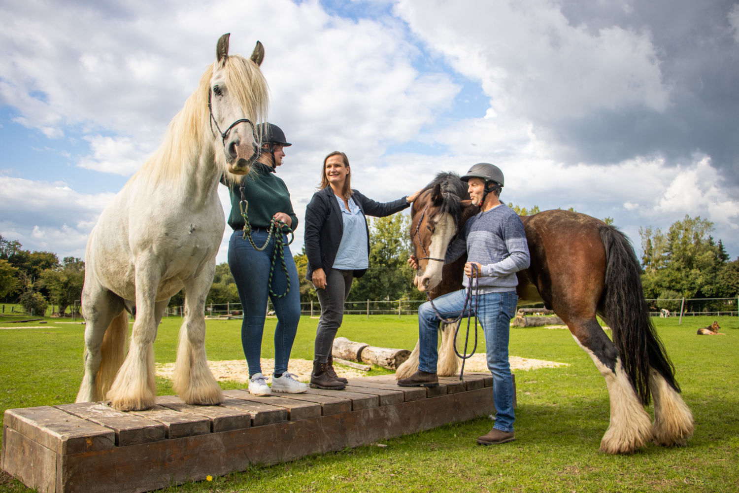 Equitation en France, tourisme sportif, sport en vacances
