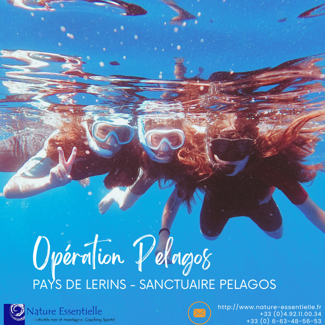 Plongée en France, tourisme sportif, sport en vacances