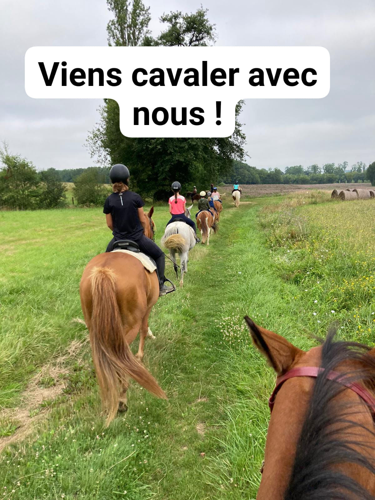 Balade à poney en France, tourisme sportif, sport en vacances